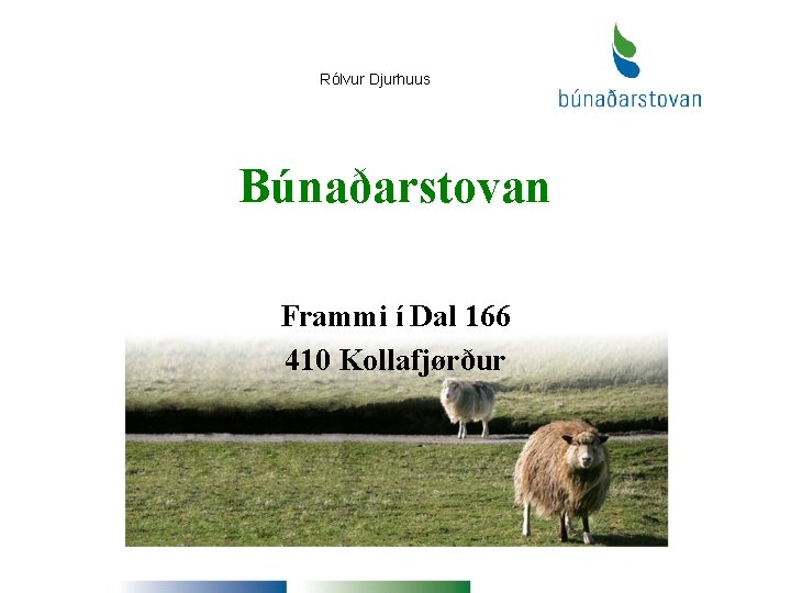Rólvur Djurhuus Búnaðarstovan Frammi í Dal 166 410 Kollafjørður 