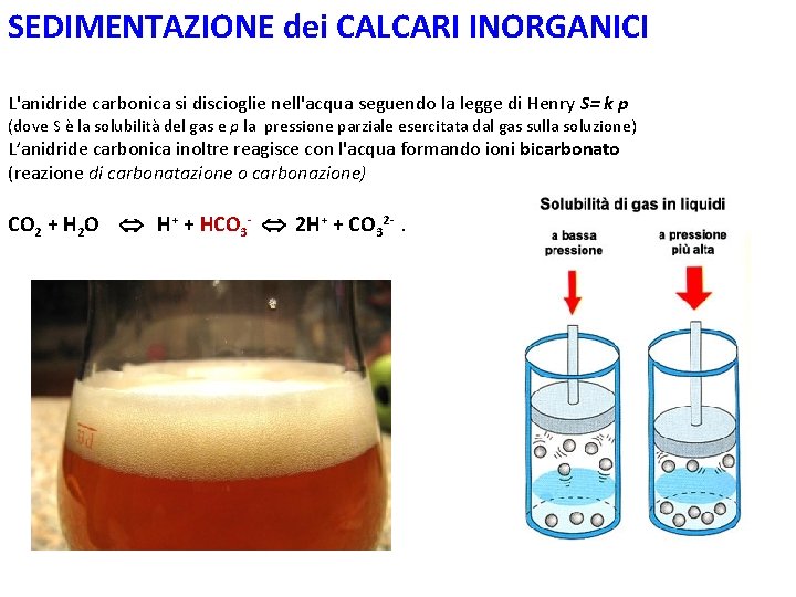 SEDIMENTAZIONE dei CALCARI INORGANICI L'anidride carbonica si discioglie nell'acqua seguendo la legge di Henry