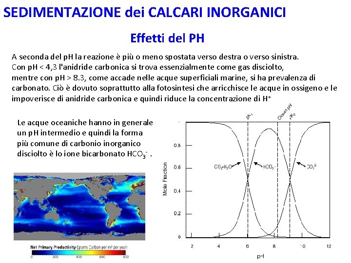 SEDIMENTAZIONE dei CALCARI INORGANICI Effetti del PH A seconda del p. H la reazione