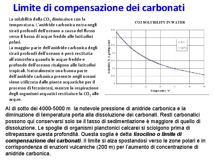 Limite di compensazione dei carbonati La solubilità della CO 2 diminuisce con la temperatura.