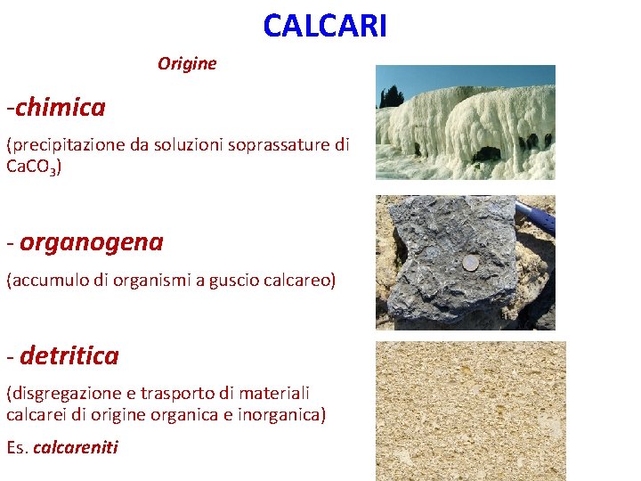 CALCARI Origine -chimica (precipitazione da soluzioni soprassature di Ca. CO 3) - organogena (accumulo