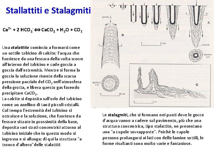 Stallattiti e Stalagmiti Ca 2+ + 2 HCO 3 - Ca. CO 3 +