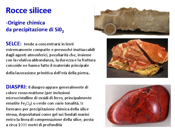 Rocce silicee -Origine chimica da precipitazione di Si 02 SELCE: tende a concentrarsi in