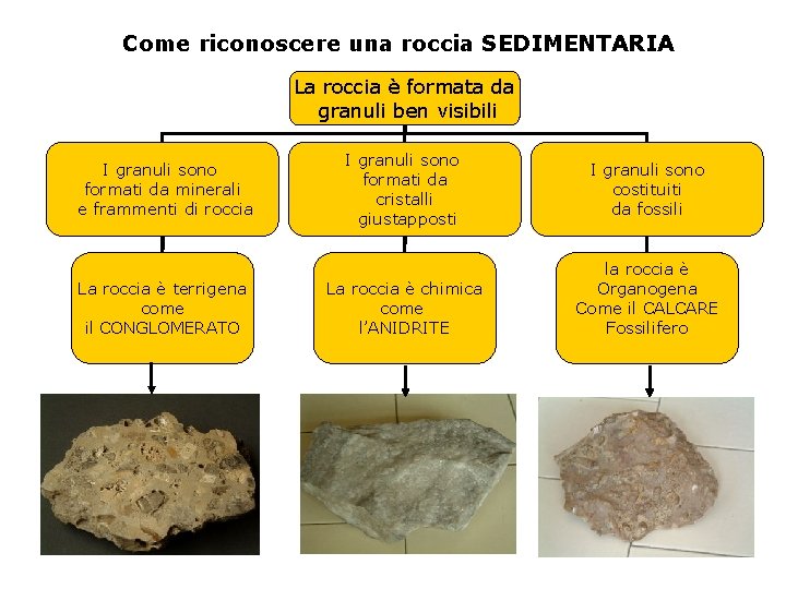 Come riconoscere una roccia SEDIMENTARIA La roccia è formata da granuli ben visibili I