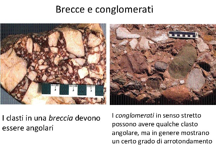 Brecce e conglomerati I clasti in una breccia devono essere angolari I conglomerati in