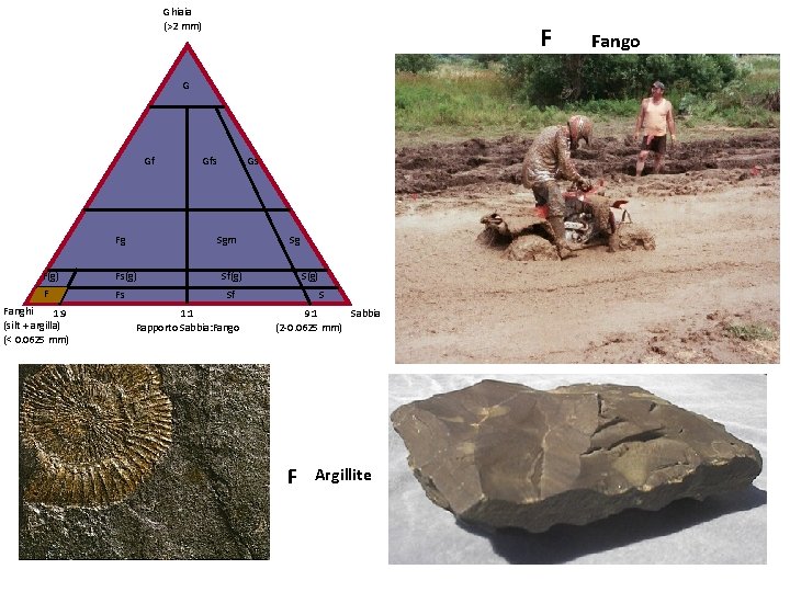 Ghiaia (>2 mm) F G Gf Fg Gs Sgm F(g) Fs(g) F Fs Fanghi