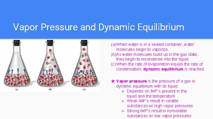 Vapor Pressure and Dynamic Equilibrium (a)When water is in a sealed container, water molecules