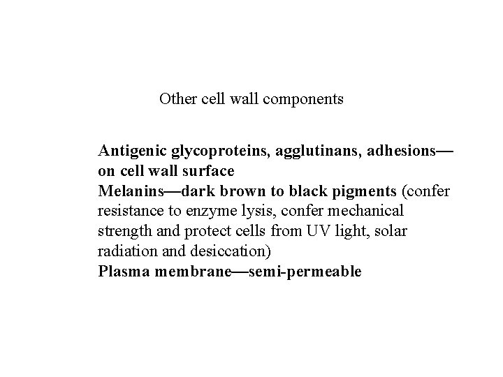 Other cell wall components Antigenic glycoproteins, agglutinans, adhesions— on cell wall surface Melanins—dark brown