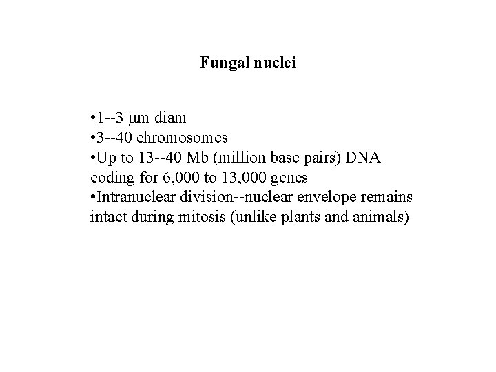 Fungal nuclei • 1 --3 m diam • 3 --40 chromosomes • Up to