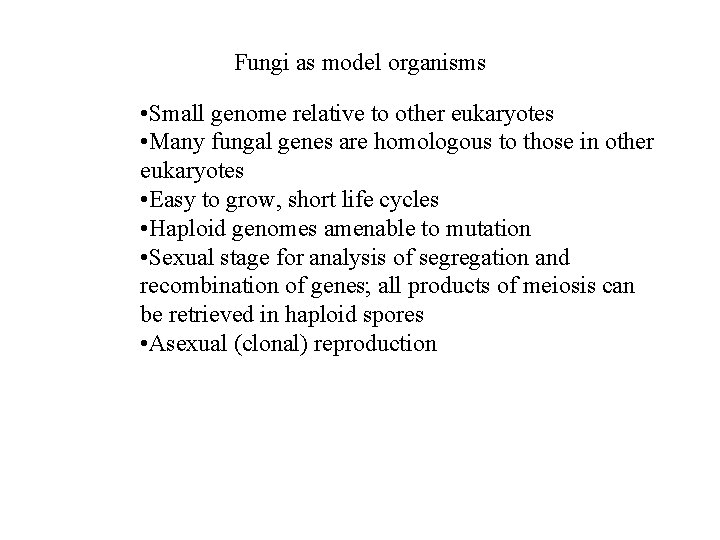 Fungi as model organisms • Small genome relative to other eukaryotes • Many fungal