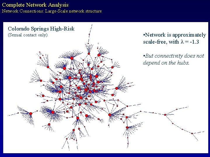 Complete Network Analysis Network Connections: Large-Scale network structure Colorado Springs High-Risk (Sexual contact only)