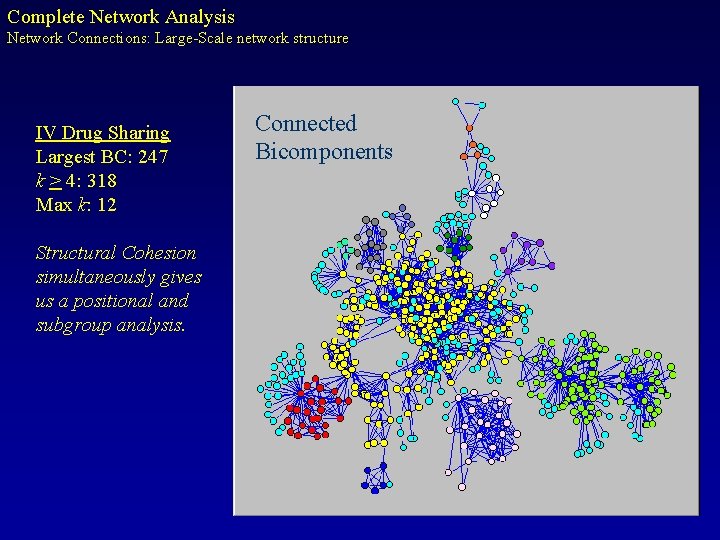 Complete Network Analysis Network Connections: Large-Scale network structure IV Drug Sharing Largest BC: 247