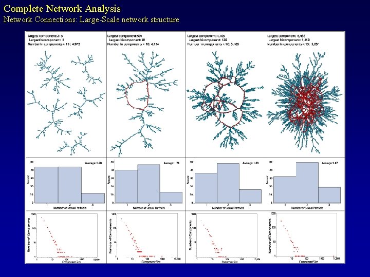 Complete Network Analysis Network Connections: Large-Scale network structure 