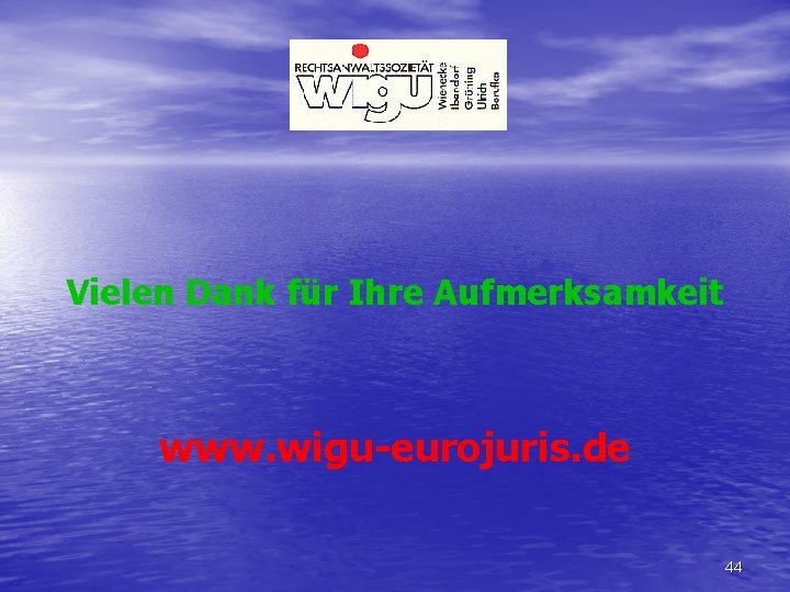 Vielen Dank für Ihre Aufmerksamkeit www. wigu-eurojuris. de 44 