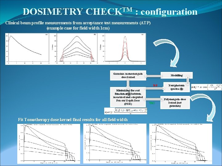 DOSIMETRY CHECKTM : configuration Clinical beam profile measurements from acceptance test measurements (ATP) (example