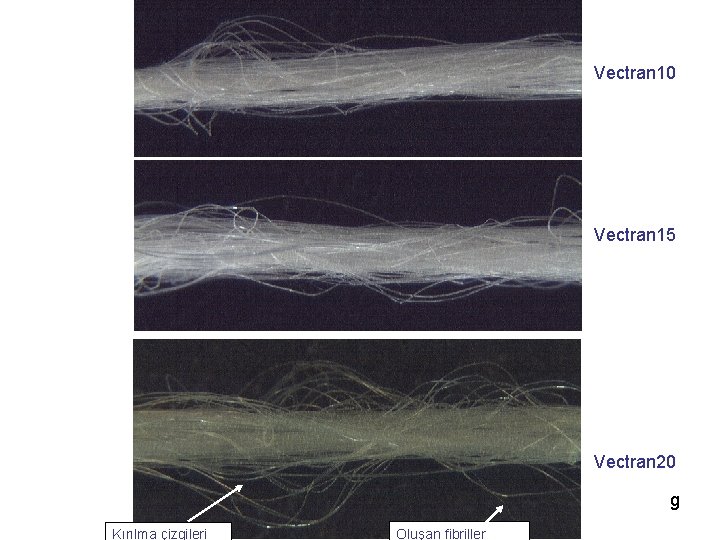 Vectran 10 Vectran 15 Vectran 20 g Kırılma çizgileri Oluşan fibriller 