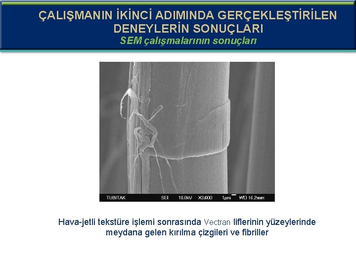 ÇALIŞMANIN İKİNCİ ADIMINDA GERÇEKLEŞTİRİLEN DENEYLERİN SONUÇLARI SEM çalışmalarının sonuçları Hava-jetli tekstüre işlemi sonrasında Vectran