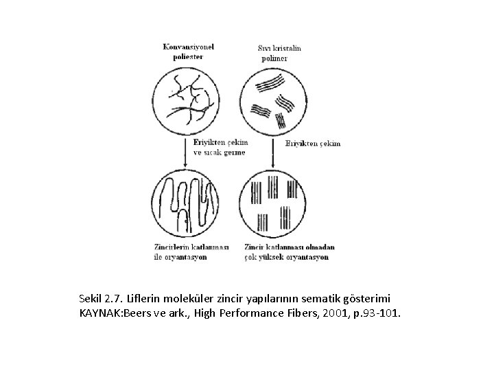 Sekil 2. 7. Liflerin moleküler zincir yapılarının sematik gösterimi KAYNAK: Beers ve ark. ,