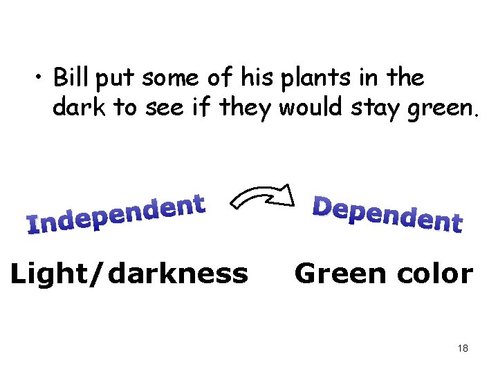  • Bill put some of his plants in the dark to see if