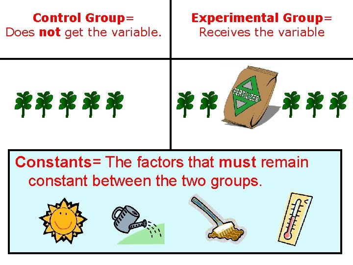 Control Group= Does not get the variable. Experimental Group= Receives the variable Constants= The