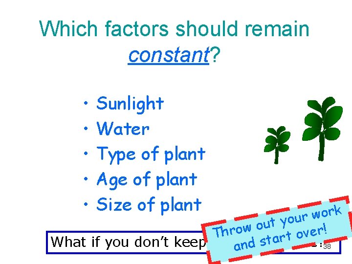 Which factors should remain constant? • • • Sunlight Water Type of plant Age