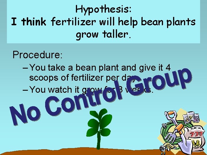 Hypothesis: I think fertilizer will help bean plants grow taller. Procedure: – You take
