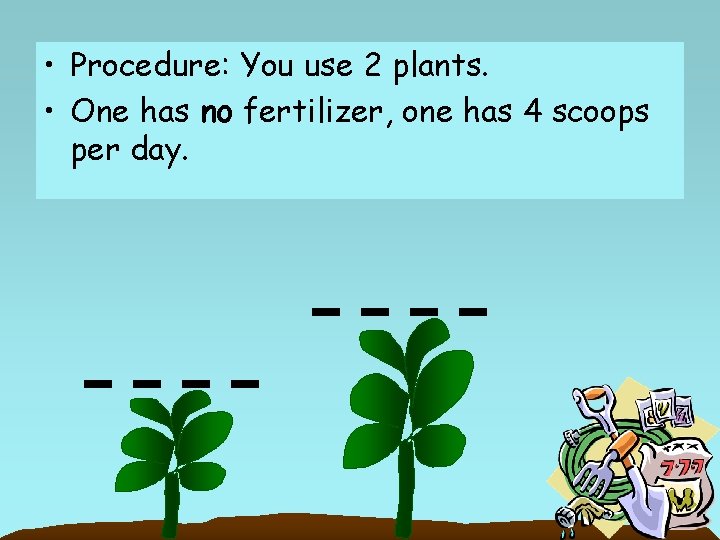  • Procedure: You use 2 plants. • One has no fertilizer, one has