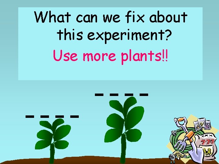 What can we fix about this experiment? Use more plants!! 42 