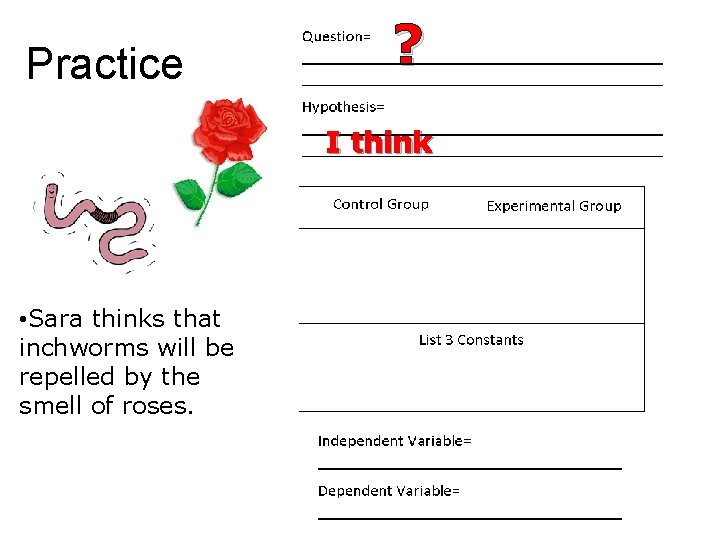 Practice ? I think • Sara thinks that inchworms will be repelled by the