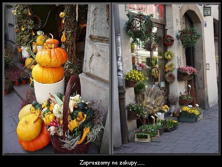 Zapraszamy na zakupy…… 