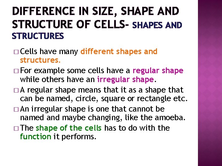 DIFFERENCE IN SIZE, SHAPE AND STRUCTURE OF CELLS- SHAPES AND STRUCTURES � Cells have