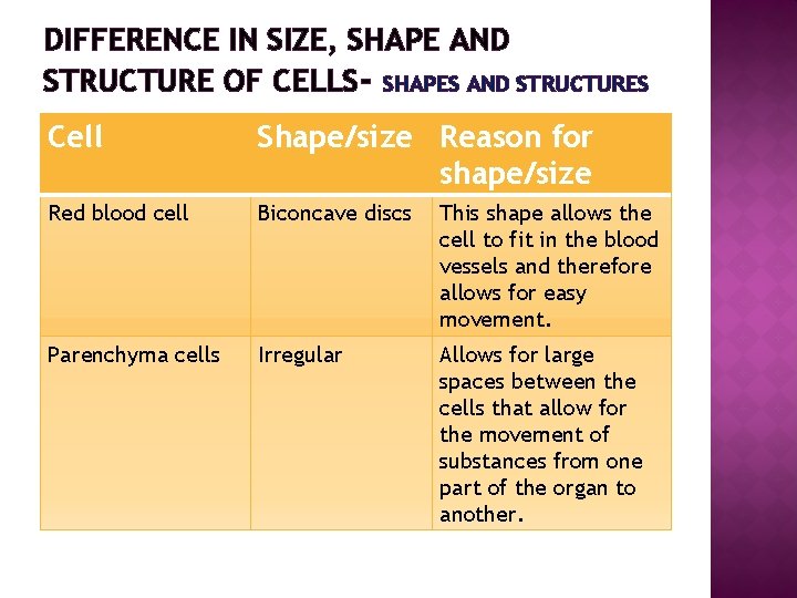 DIFFERENCE IN SIZE, SHAPE AND STRUCTURE OF CELLS- SHAPES AND STRUCTURES Cell Shape/size Reason