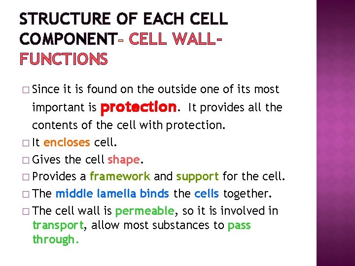 STRUCTURE OF EACH CELL COMPONENT CELL WALLFUNCTIONS � Since it is found on the