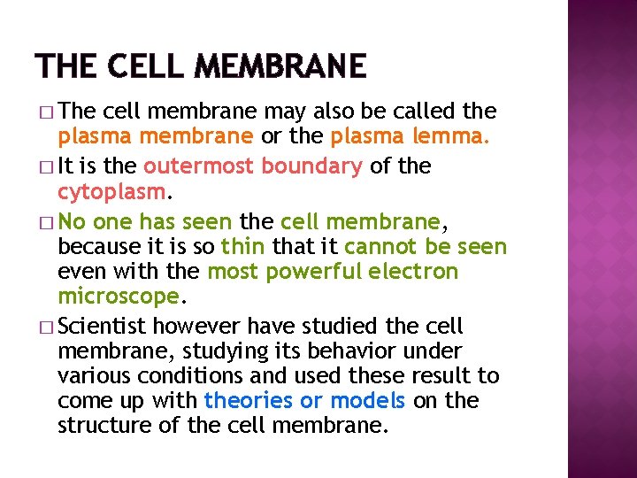 THE CELL MEMBRANE � The cell membrane may also be called the plasma membrane