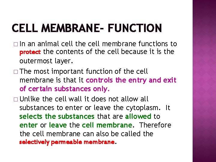 CELL MEMBRANE- FUNCTION � In an animal cell the cell membrane functions to protect