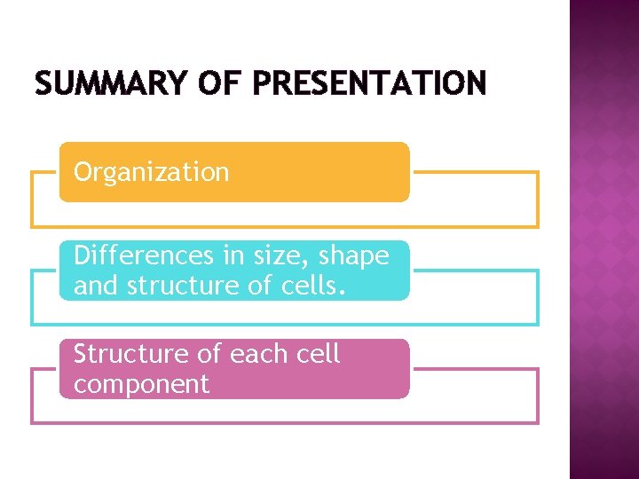 SUMMARY OF PRESENTATION Organization Differences in size, shape and structure of cells. Structure of