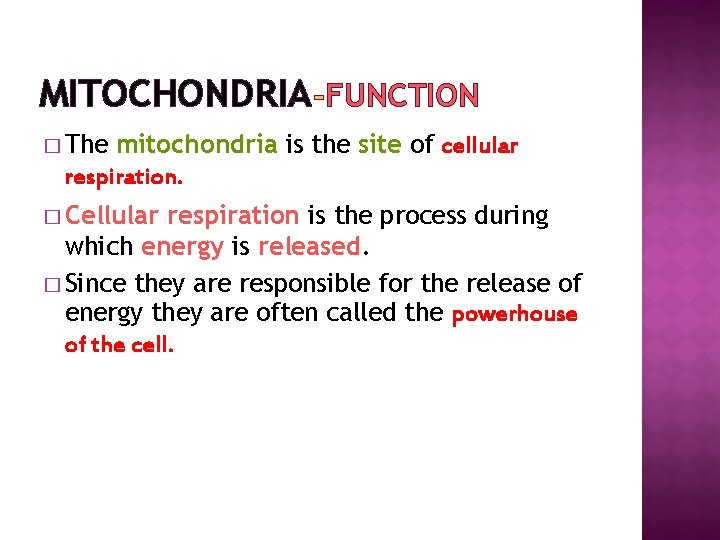 MITOCHONDRIA FUNCTION � The mitochondria is the site of cellular respiration. � Cellular respiration