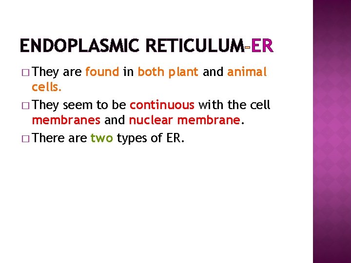 ENDOPLASMIC RETICULUM ER � They are found in both plant and animal cells. �