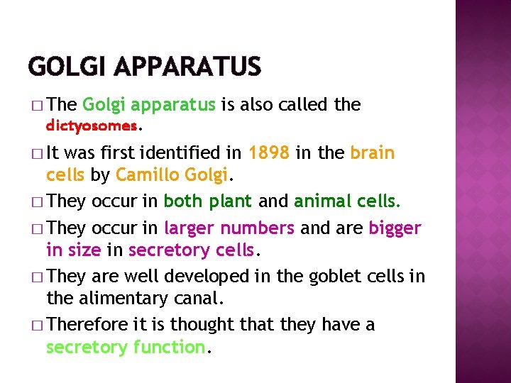 GOLGI APPARATUS � The Golgi apparatus is also called the dictyosomes. � It was