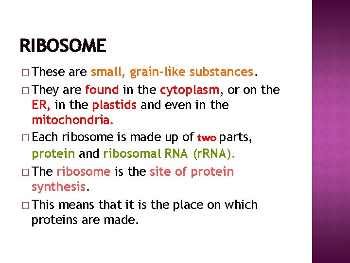 RIBOSOME � These are small, grain-like substances. � They are found in the cytoplasm,