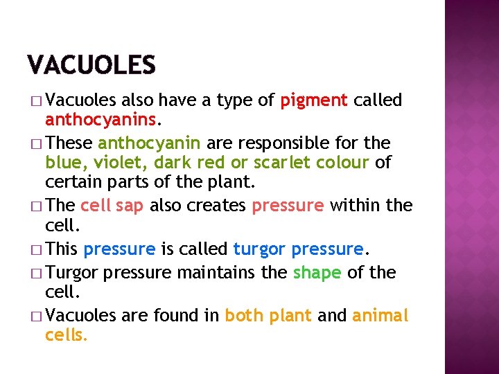 VACUOLES � Vacuoles also have a type of pigment called anthocyanins. � These anthocyanin