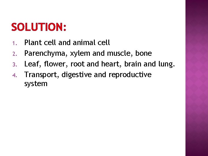 SOLUTION: 1. 2. 3. 4. Plant cell and animal cell Parenchyma, xylem and muscle,