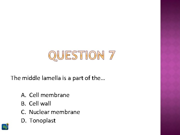 The middle lamella is a part of the… A. B. C. D. Cell membrane