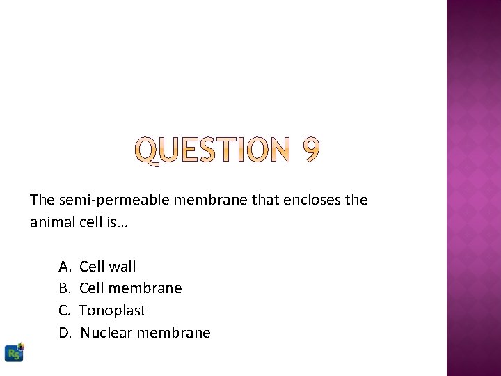 The semi-permeable membrane that encloses the animal cell is… A. B. C. D. Cell