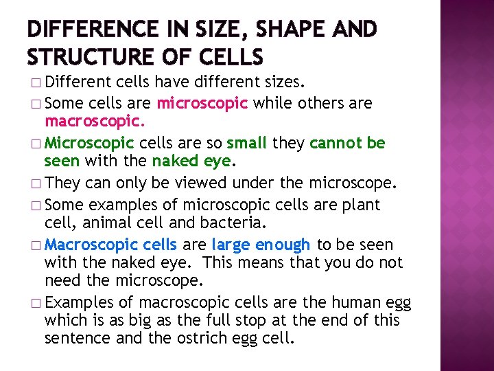 DIFFERENCE IN SIZE, SHAPE AND STRUCTURE OF CELLS � Different cells have different sizes.