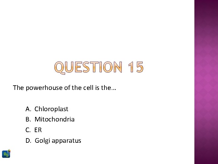 The powerhouse of the cell is the… A. B. C. D. Chloroplast Mitochondria ER