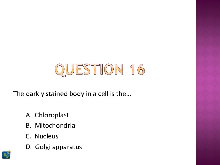 The darkly stained body in a cell is the… A. B. C. D. Chloroplast