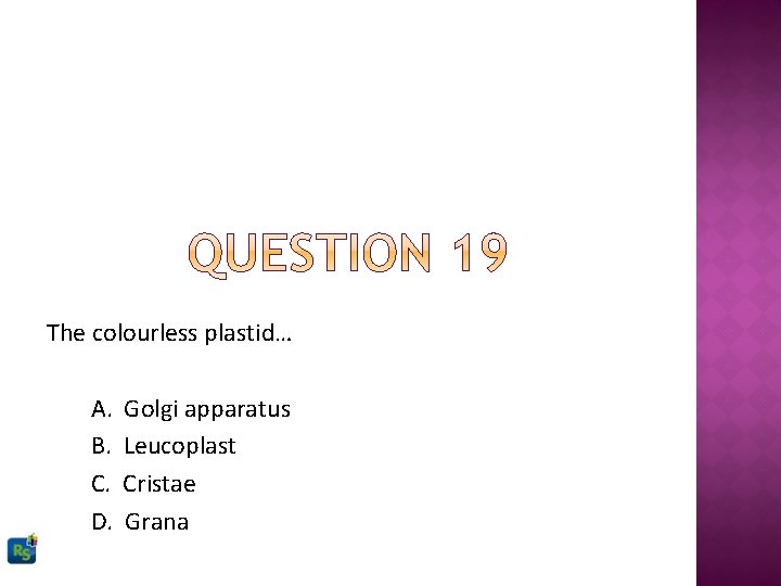 The colourless plastid… A. B. C. D. Golgi apparatus Leucoplast Cristae Grana 