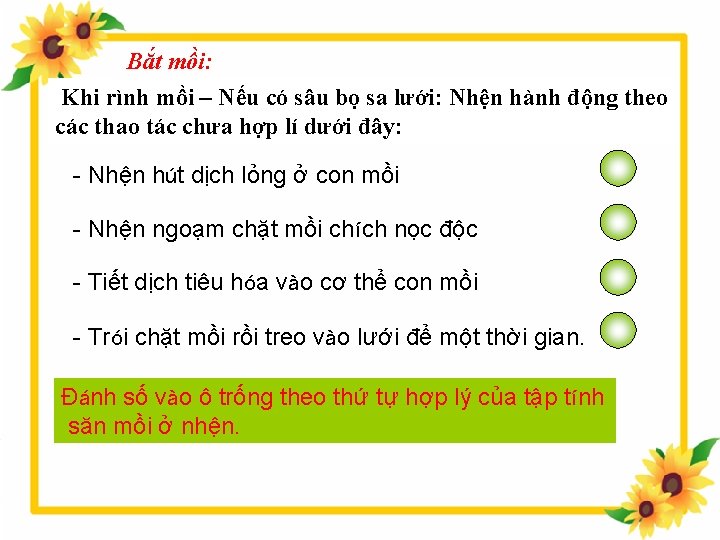 Bắt mồi: Khi rình mồi – Nếu có sâu bọ sa lưới: Nhện hành