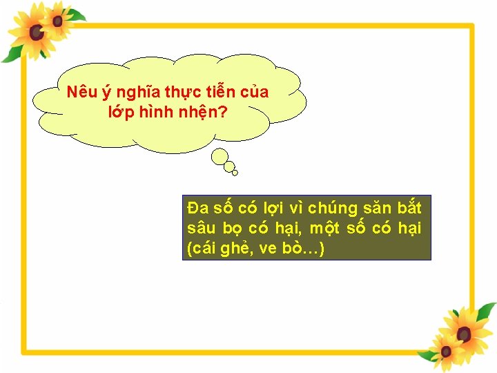 Nêu ý nghĩa thực tiễn của lớp hình nhện? Đa số có lợi vì